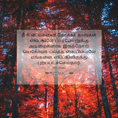 Picture 07 - உபாகமம் 6:21 TAMIRV - நீ உன் மகனை நோக்கி: - Bible Verse Picture