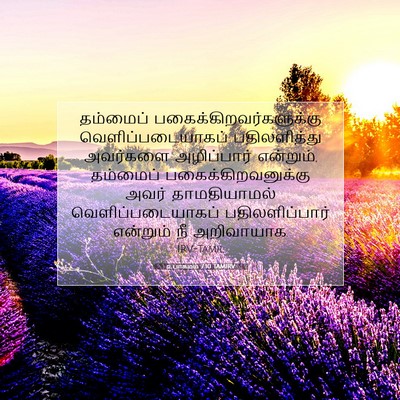 Picture 07 - உபாகமம் 7:10 TAMIRV - தம்மைப் - Bible Verse Picture