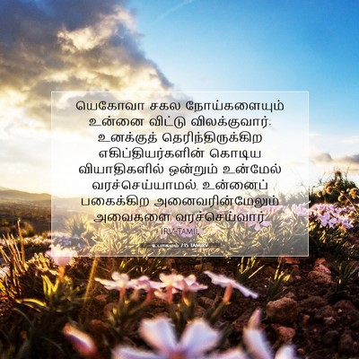 Picture 07 - உபாகமம் 7:15 TAMIRV - யெகோவா சகல - Bible Verse Picture