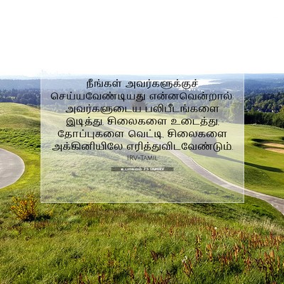 Picture 07 - உபாகமம் 7:5 TAMIRV - நீங்கள் - Bible Verse Picture
