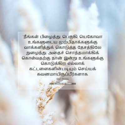 Picture 07 - உபாகமம் 8:1 TAMIRV - “நீங்கள் - Bible Verse Picture