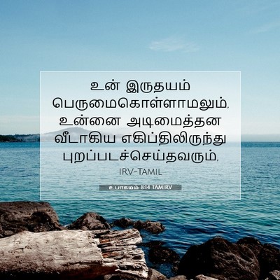 Picture 07 - உபாகமம் 8:14 TAMIRV - உன் இருதயம் - Bible Verse Picture