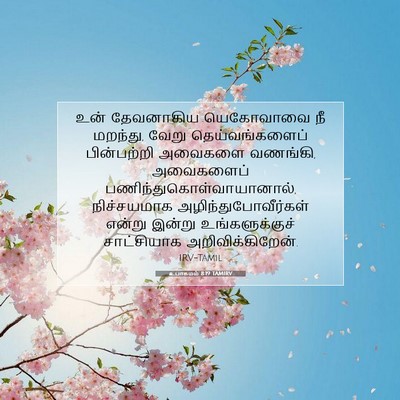 Picture 07 - உபாகமம் 8:19 TAMIRV - உன் தேவனாகிய - Bible Verse Picture