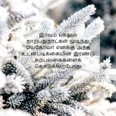 Picture 07 - உபாகமம் 9:11 TAMIRV - இரவும் பகலும் - Bible Verse Picture