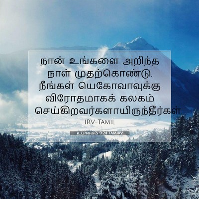 Picture 07 - உபாகமம் 9:24 TAMIRV - நான் உங்களை - Bible Verse Picture