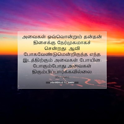 Picture 07 - எசேக்கியேல் 1:12 TAMIRV - அவைகள் - Bible Verse Picture