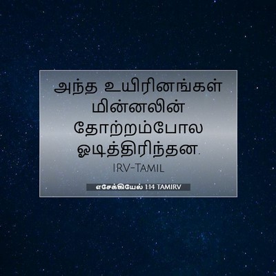 Picture 07 - எசேக்கியேல் 1:14 TAMIRV - அந்த உயிரினங்கள் - Bible Verse Picture