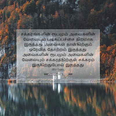 Picture 07 - எசேக்கியேல் 1:16 TAMIRV - சக்கரங்களின் - Bible Verse Picture