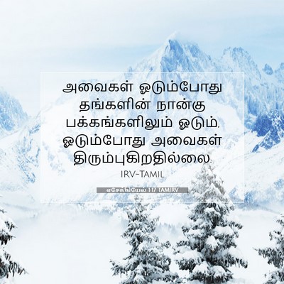 Picture 07 - எசேக்கியேல் 1:17 TAMIRV - அவைகள் ஓடும்போது - Bible Verse Picture