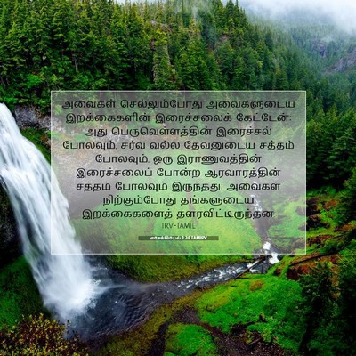 Picture 07 - எசேக்கியேல் 1:24 TAMIRV - அவைகள் - Bible Verse Picture