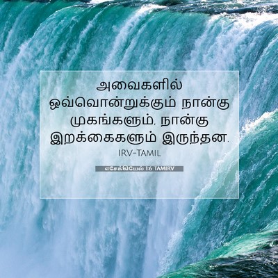 Picture 07 - எசேக்கியேல் 1:6 TAMIRV - அவைகளில் - Bible Verse Picture