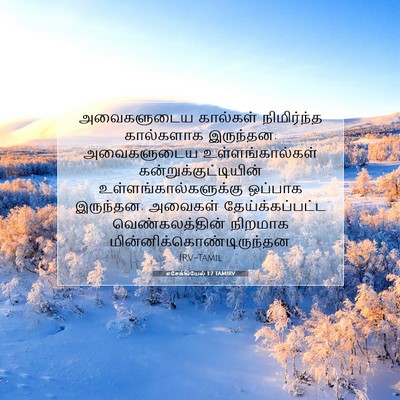 Picture 07 - எசேக்கியேல் 1:7 TAMIRV - அவைகளுடைய கால்கள் - Bible Verse Picture
