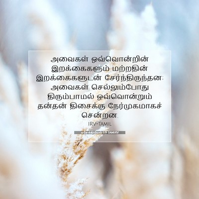 Picture 07 - எசேக்கியேல் 1:9 TAMIRV - அவைகள் - Bible Verse Picture