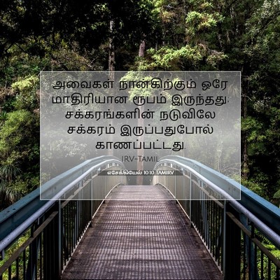 Picture 07 - எசேக்கியேல் 10:10 TAMIRV - அவைகள் - Bible Verse Picture