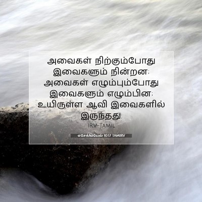 Picture 07 - எசேக்கியேல் 10:17 TAMIRV - அவைகள் - Bible Verse Picture