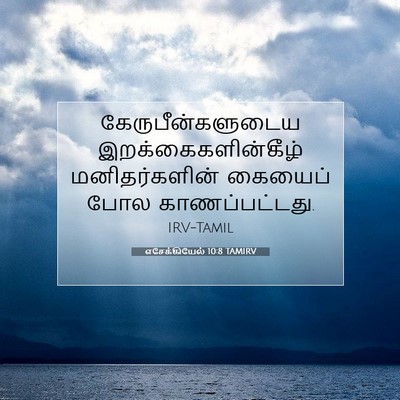 Picture 07 - எசேக்கியேல் 10:8 TAMIRV - கேருபீன்களுடைய - Bible Verse Picture