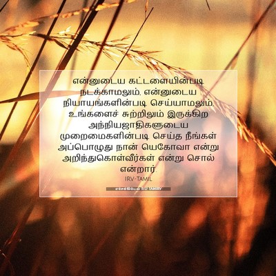 Picture 07 - எசேக்கியேல் 11:12 TAMIRV - என்னுடைய - Bible Verse Picture