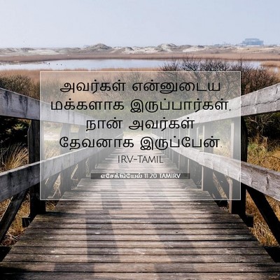 Picture 07 - எசேக்கியேல் 11:20 TAMIRV - அவர்கள் என்னுடைய - Bible Verse Picture