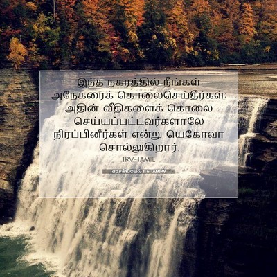 Picture 07 - எசேக்கியேல் 11:6 TAMIRV - இந்த நகரத்தில் - Bible Verse Picture