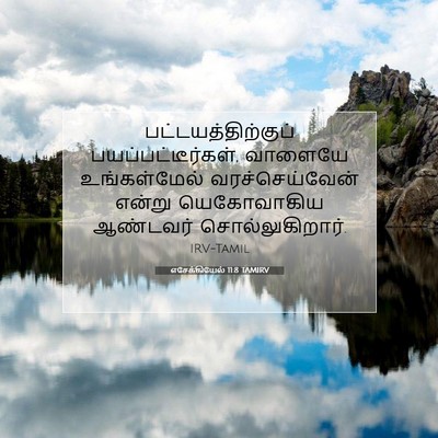 Picture 07 - எசேக்கியேல் 11:8 TAMIRV - பட்டயத்திற்குப் - Bible Verse Picture
