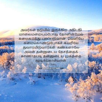 Picture 07 - எசேக்கியேல் 12:12 TAMIRV - அவர்கள் நடுவில் - Bible Verse Picture