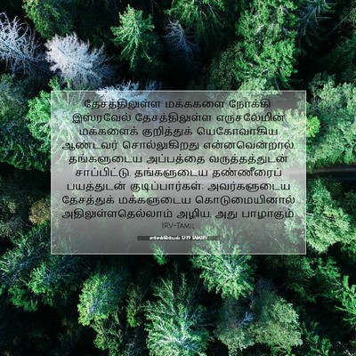 Picture 07 - எசேக்கியேல் 12:19 TAMIRV - தேசத்திலுள்ள - Bible Verse Picture