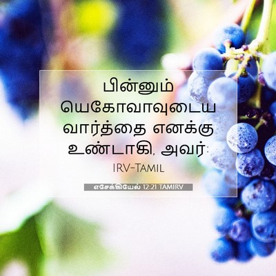 Picture 07 - எசேக்கியேல் 12:21 TAMIRV - பின்னும் - Bible Verse Picture