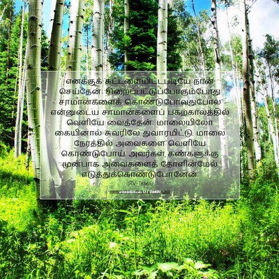 Picture 07 - எசேக்கியேல் 12:7 TAMIRV - எனக்குக் - Bible Verse Picture