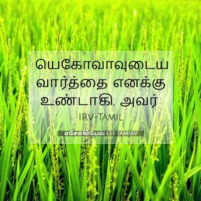 Picture 07 - எசேக்கியேல் 13:1 TAMIRV - யெகோவாவுடைய - Bible Verse Picture