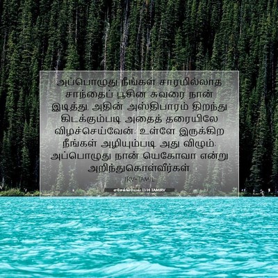 Picture 07 - எசேக்கியேல் 13:14 TAMIRV - அப்பொழுது நீங்கள் - Bible Verse Picture