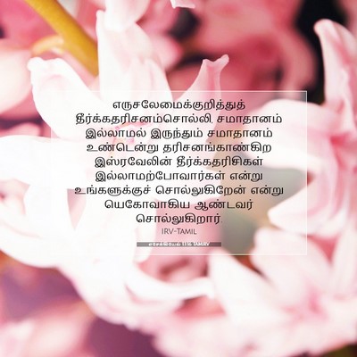 Picture 07 - எசேக்கியேல் 13:16 TAMIRV -  - Bible Verse Picture