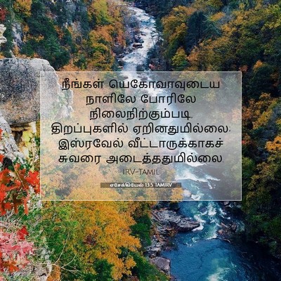 Picture 07 - எசேக்கியேல் 13:5 TAMIRV - நீங்கள் - Bible Verse Picture