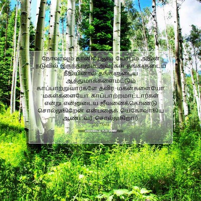 Picture 07 - எசேக்கியேல் 14:20 TAMIRV - நோவாவும் - Bible Verse Picture