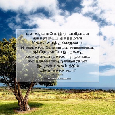 Picture 07 - எசேக்கியேல் 14:3 TAMIRV - மனிதகுமாரனே, இந்த - Bible Verse Picture
