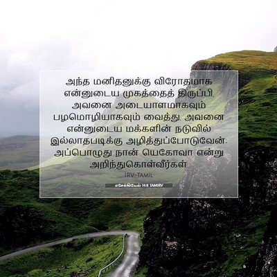 Picture 07 - எசேக்கியேல் 14:8 TAMIRV - அந்த மனிதனுக்கு - Bible Verse Picture