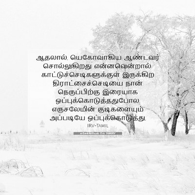 Picture 07 - எசேக்கியேல் 15:6 TAMIRV - ஆதலால், யெகோவாகிய - Bible Verse Picture