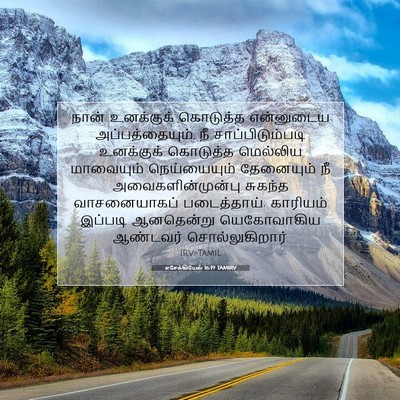 Picture 07 - எசேக்கியேல் 16:19 TAMIRV - நான் உனக்குக் - Bible Verse Picture