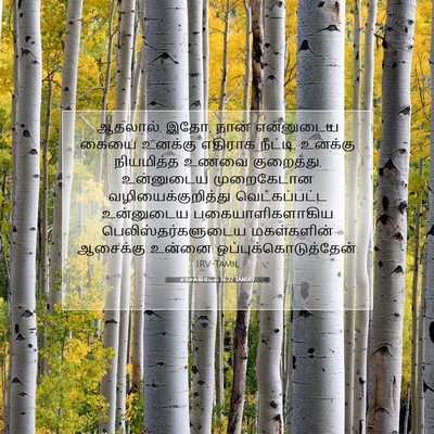 Picture 07 - எசேக்கியேல் 16:27 TAMIRV - ஆதலால், இதோ, நான் - Bible Verse Picture