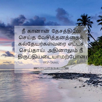 Picture 07 - எசேக்கியேல் 16:29 TAMIRV - நீ கானான் - Bible Verse Picture