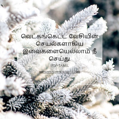 Picture 07 - எசேக்கியேல் 16:30 TAMIRV - வெட்கங்கெட்ட - Bible Verse Picture