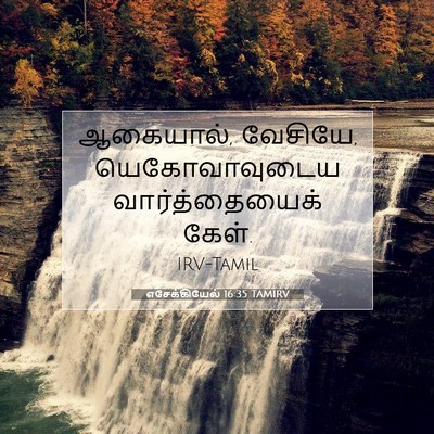 Picture 07 - எசேக்கியேல் 16:35 TAMIRV - ஆகையால், வேசியே, - Bible Verse Picture