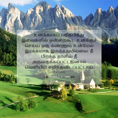 Picture 07 - எசேக்கியேல் 16:5 TAMIRV - உனக்காகப் - Bible Verse Picture