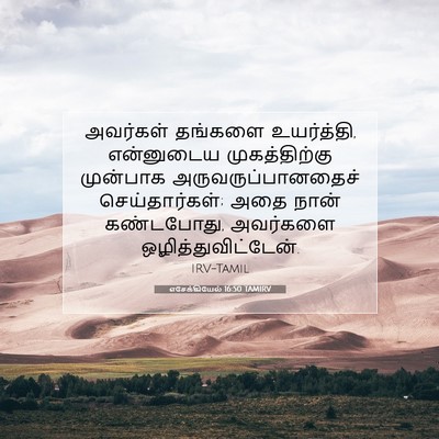 Picture 07 - எசேக்கியேல் 16:50 TAMIRV - அவர்கள் தங்களை - Bible Verse Picture