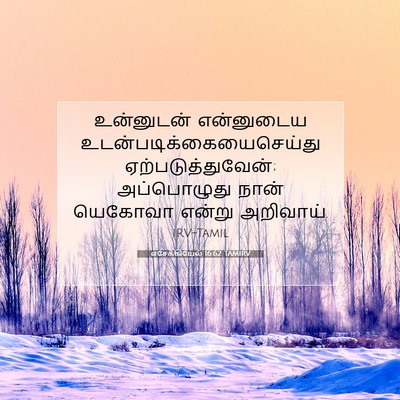 Picture 07 - எசேக்கியேல் 16:62 TAMIRV - உன்னுடன் என்னுடைய - Bible Verse Picture
