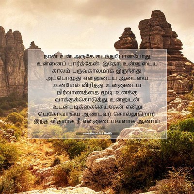 Picture 07 - எசேக்கியேல் 16:8 TAMIRV - நான் உன் அருகே - Bible Verse Picture