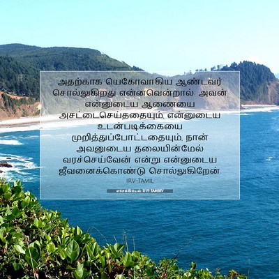 Picture 07 - எசேக்கியேல் 17:19 TAMIRV - அதற்காக யெகோவாகிய - Bible Verse Picture