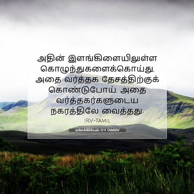Picture 07 - எசேக்கியேல் 17:4 TAMIRV - அதின் - Bible Verse Picture