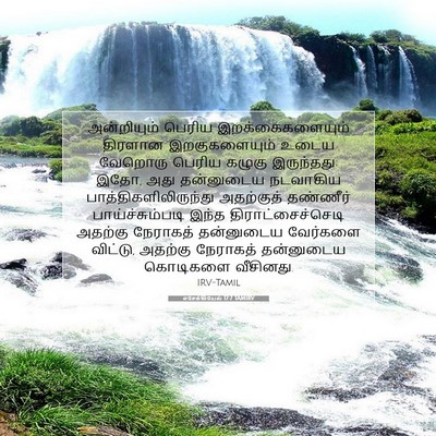 Picture 07 - எசேக்கியேல் 17:7 TAMIRV - அன்றியும் பெரிய - Bible Verse Picture