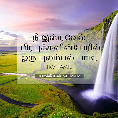 Picture 07 - எசேக்கியேல் 19:1 TAMIRV - நீ இஸ்ரவேல் - Bible Verse Picture