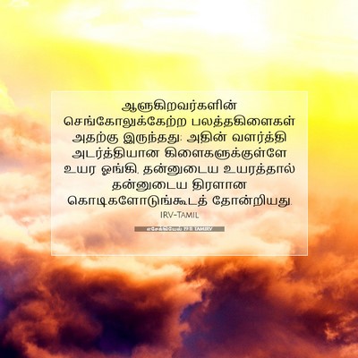 Picture 07 - எசேக்கியேல் 19:11 TAMIRV - ஆளுகிறவர்களின் - Bible Verse Picture